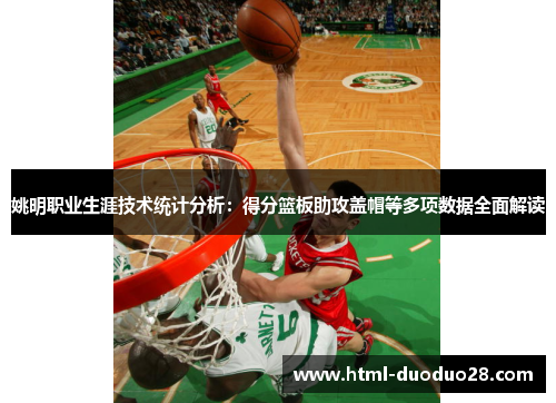 姚明职业生涯技术统计分析：得分篮板助攻盖帽等多项数据全面解读