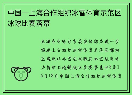 中国―上海合作组织冰雪体育示范区冰球比赛落幕