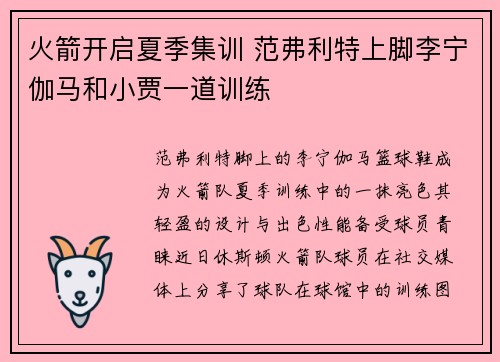 火箭开启夏季集训 范弗利特上脚李宁伽马和小贾一道训练